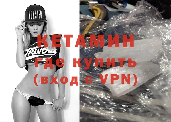 шишки Арсеньев