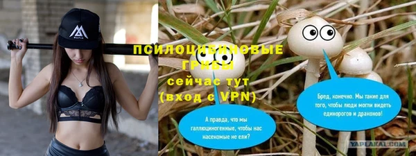 MESCALINE Аркадак