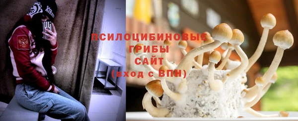 шишки Арсеньев